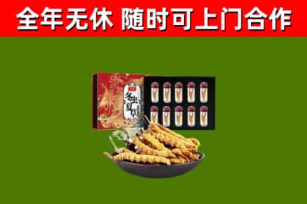 屯昌烟酒回收冬虫夏草礼盒.jpg